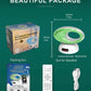 Wireless Quran Speaker | Gulf e Shop